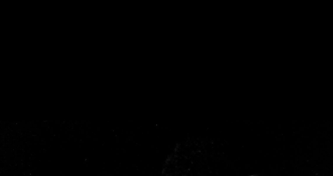 Caracol y colibrí S/a