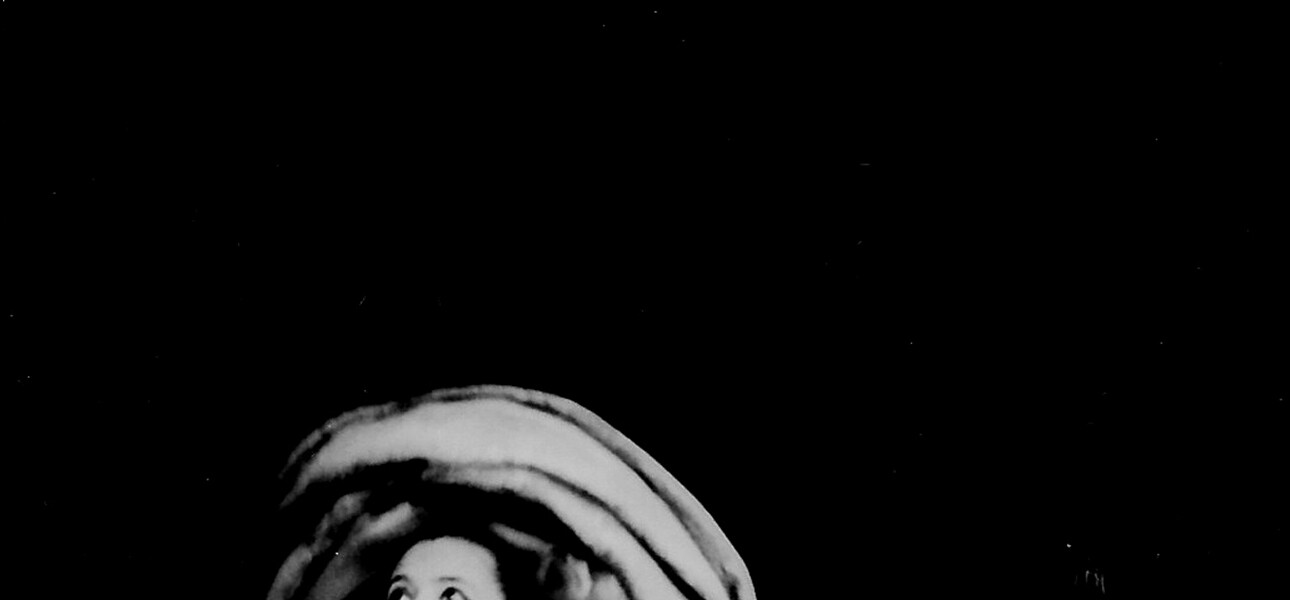 Caracol y colibrí S/a